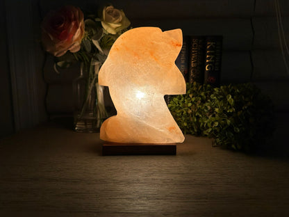 Natural Himalayan Salt Lamp - Dolphin Shaped Decorative Night Light for Home & Wellness