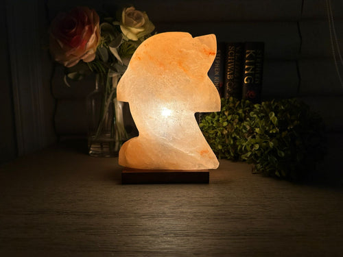 Natural Himalayan Salt Lamp - Dolphin Shaped Decorative Night Light for Home & Wellness
