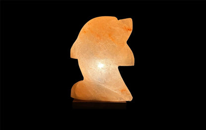 Natural Himalayan Salt Lamp - Dolphin Shaped Decorative Night Light for Home & Wellness