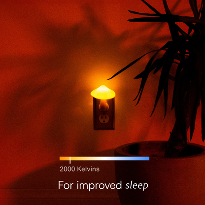 Mushroom Night Lamp