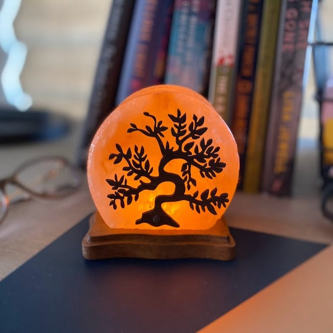 Himalayan Salt Lamp with USB Plug for Relaxation and Mood Lighting