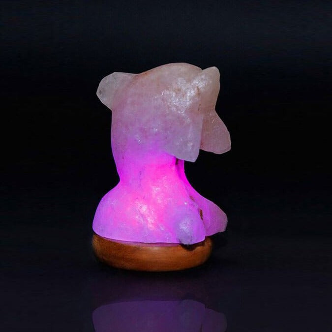 Natural Himalayan Salt Lamp - Mini Dolphin Design for Home Decor and Wellness