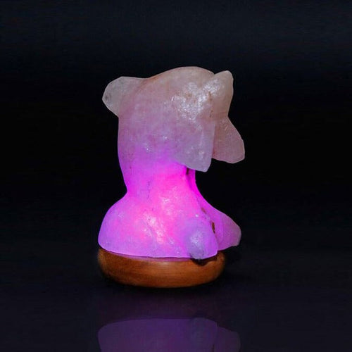Natural Himalayan Salt Lamp - Mini Dolphin Design for Home Decor and Wellness